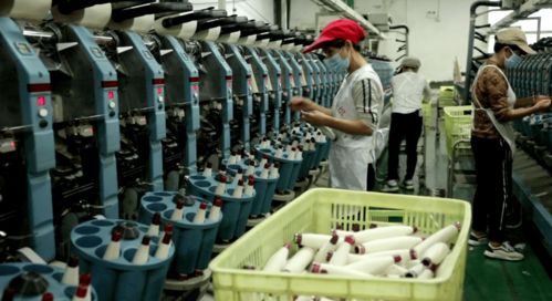 北湖區(qū) 訂單追著企業(yè)跑，服務(wù)圍著企業(yè)轉(zhuǎn)——紡織品產(chǎn)業(yè)的轉(zhuǎn)型與振興