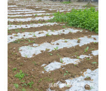 產品庫地膜的全面解析 功能、類型與使用指南